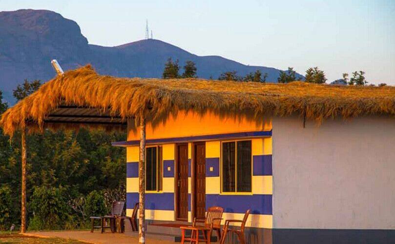 Tinton Homestay, Chikmaglur 4